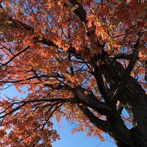 Meet your Posher, Brooklyn